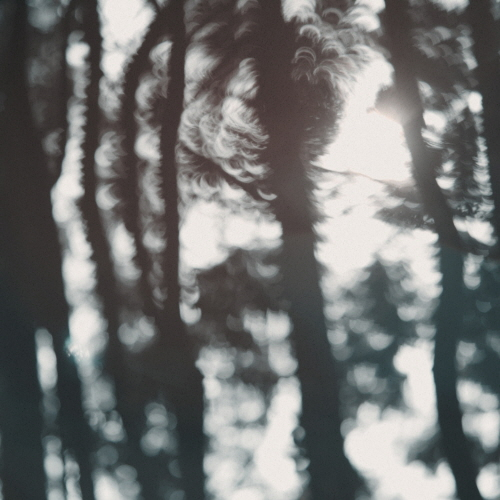 NOVASIA (NOVASIA) - 1st Album NOVASIA