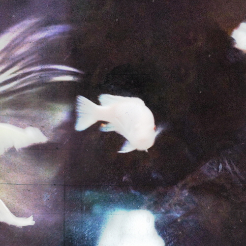 Complex 2 - EP : Wet Sleeves