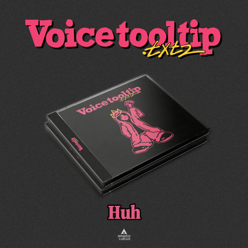 Huh Sung-hyun (Huh) - Voice tool tip.txt 2