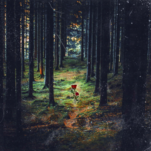 Lim Ho-yeon Vol. 2 - Salvation