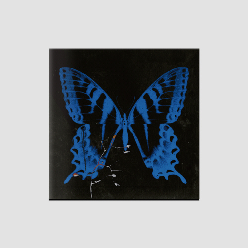 Song Sohee - 1st EP Aerial Dance