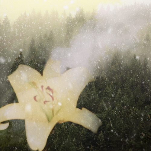 Shin Hae Gyeong - Strange Scenery