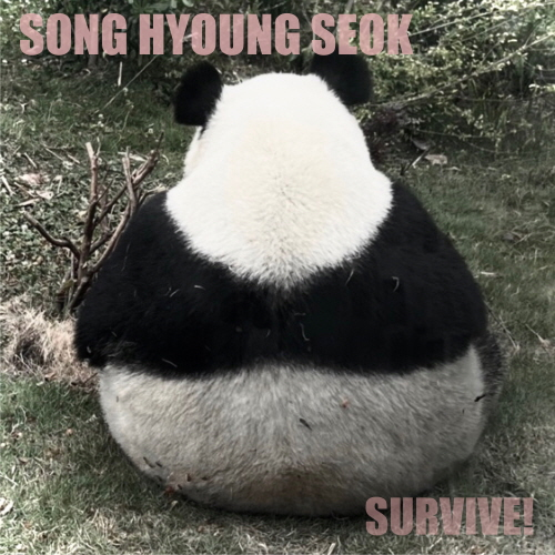 Song Hyoung Seok - 1st Album: SURVIVE