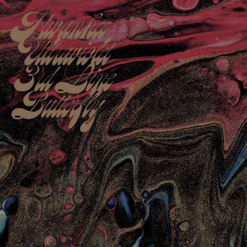 3rd Line Butterfly - Ecstasy Beyond Violet