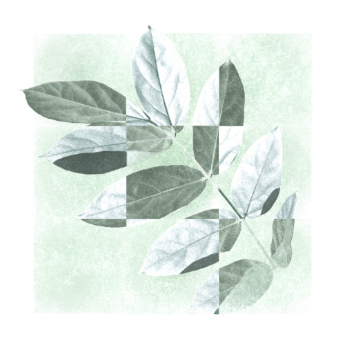 Park Jung-woong - EP : Summer