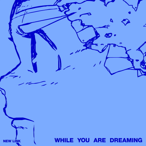 New Link - Vol. 1 : While You Are Dreaming